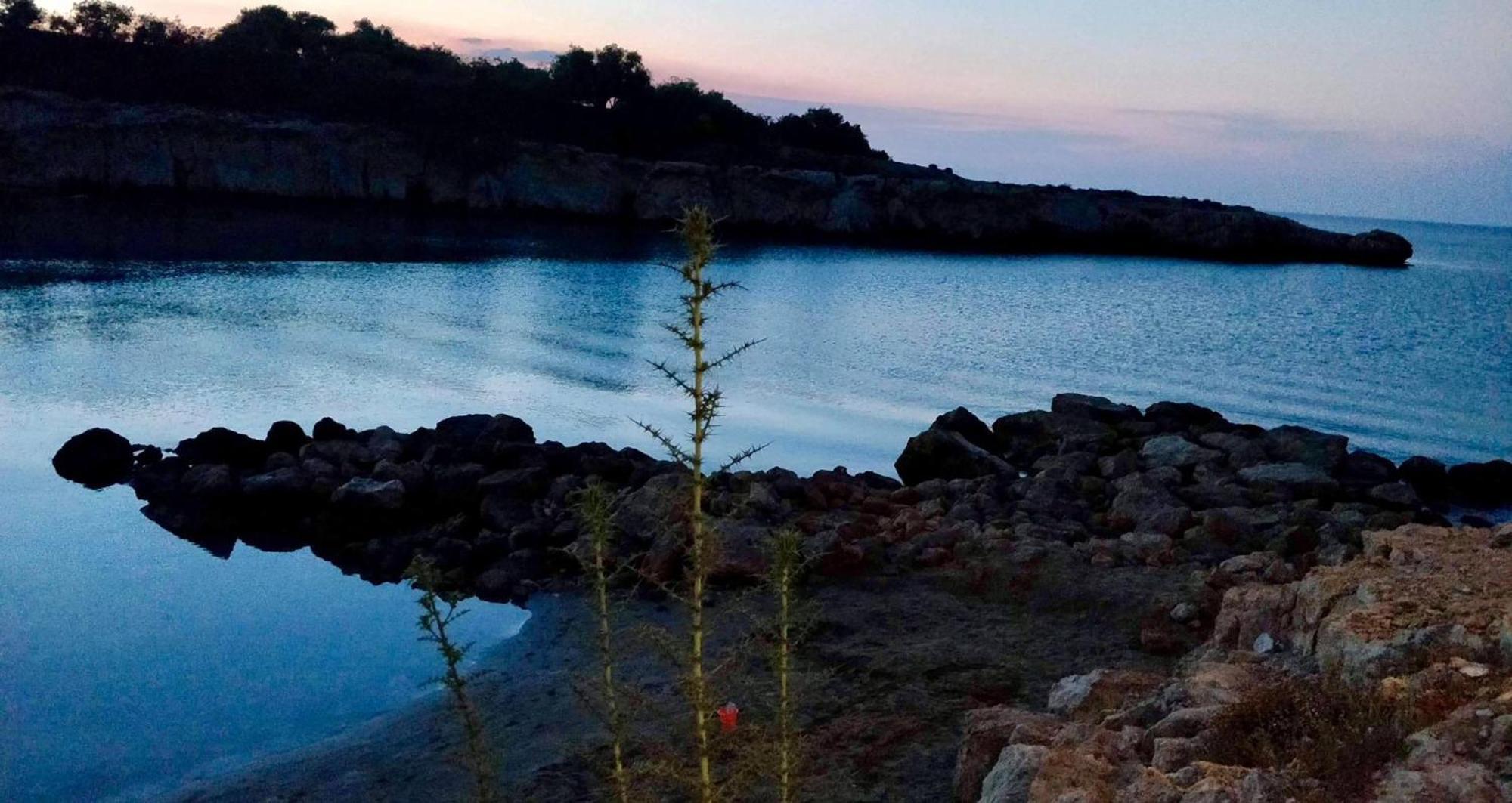 Villa Chill And Joy Paralimni Dış mekan fotoğraf